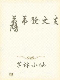 弟弟发文支持李阳