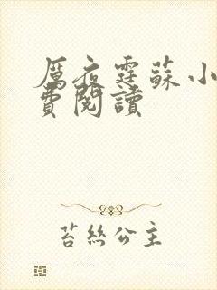 厉夜霆苏小汐免费阅读