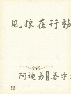 风狼在行动