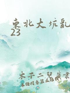 东北大坑乱1—23