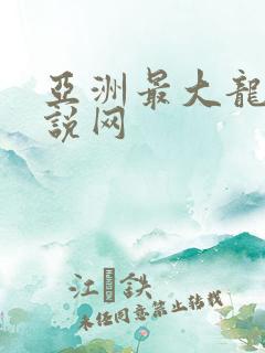 亚洲最大龙腾小说网