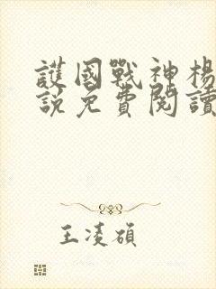 护国战神杨风小说免费阅读