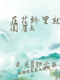 在花轿里就开始圆房h