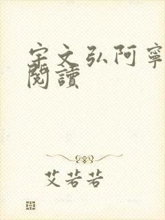 宇文弘阿宁全文阅读