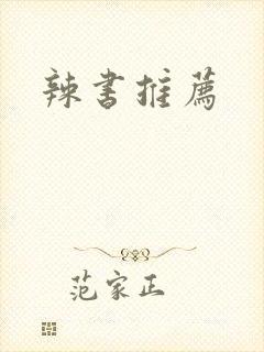 辣书推荐