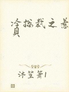 冷总裁之惹火宝贝