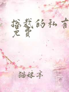 总裁的私有宝贝免费