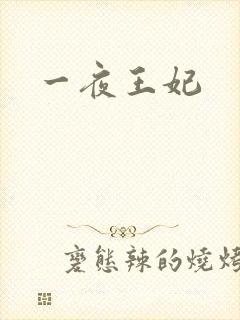 一夜王妃