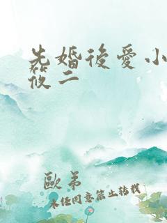 先婚后爱小说梦筱二
