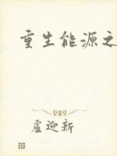 重生能源之王