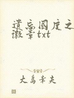 遗忘国度之神秘徽章txt