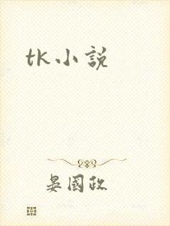 tk小说