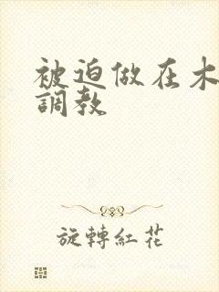 被迫做在木马上调教