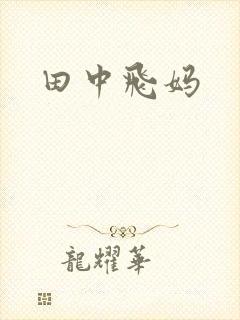 田中飞妈