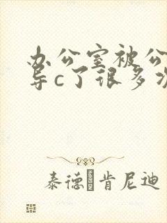 办公室被公司领导c了很多次