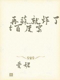 再苏就炸了txt百度云