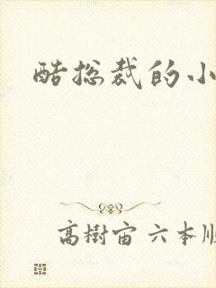 酷总裁的小女佣