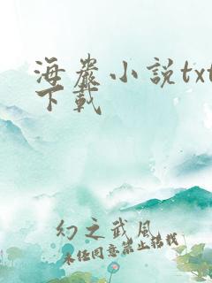 海岩小说txt下载
