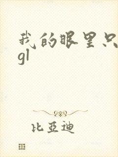 我的眼里只有你gl