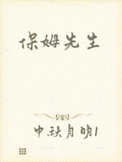 保姆先生