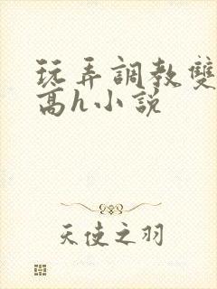 玩弄调教双胞胎高h小说