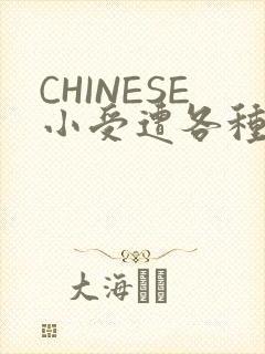 CHINESE小受遭各种打桩