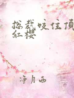 总裁咬住顶端的红樱