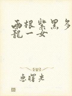 两根紫黑多男双龙一女