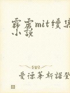霹雳mit续集小说
