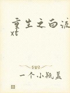 重生之白流苏txt