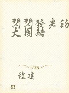 闪闪发光的小说大团结