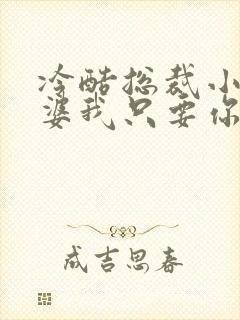 冷酷总裁小小老婆我只要你