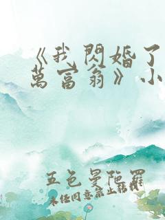 《我闪婚了个亿万富翁》小说