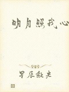 明月照我心小说