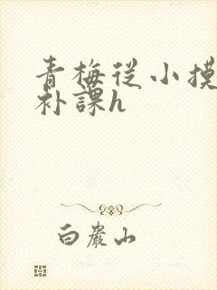 青梅从小摸到大补课h