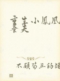 重生小凤凰的童养夫