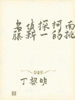 名侦探柯南给工藤新一的挑战书