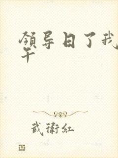 领导日了我一下午