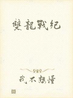 双龙战纪