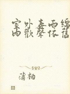 室外春雨绵绵室内欢声依旧