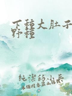 下种大肚子怀孕野种