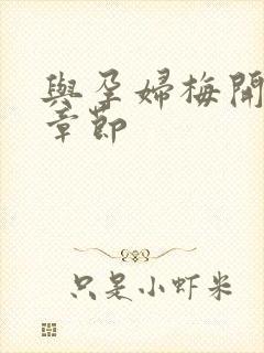 与孕妇梅开三度章节