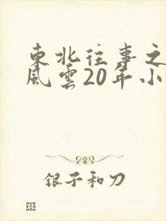 东北往事之黑道风云20年小说