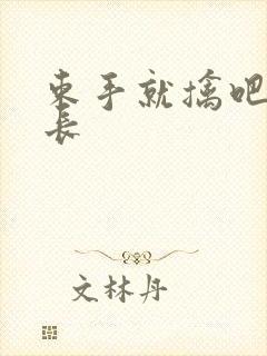 束手就擒吧韩队长