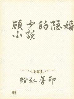 顾少的隐婚罪妻小说
