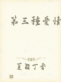 第三种爱情续集