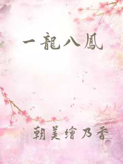 一龙八凤