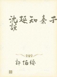 沈延知秦子卿小说