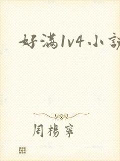 好满1v4小说
