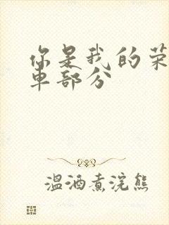 你是我的荣耀开车部分